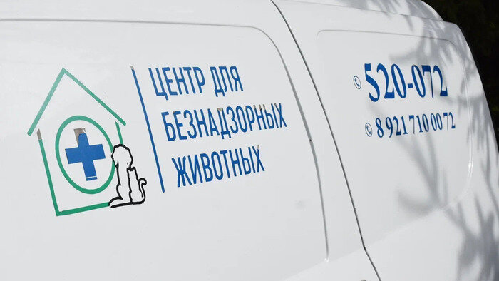 ЦБЖ в Калининграде продолжает развиваться  | Фото: Виктория Исаенко