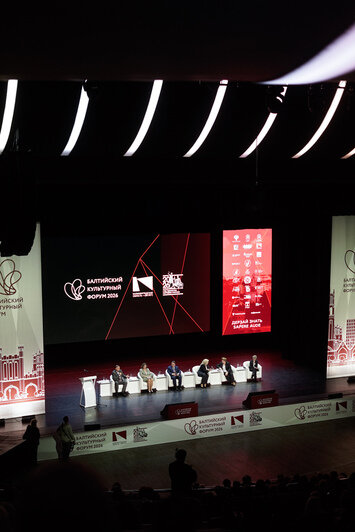 Риск-менеджмент в прямом эфире: в TVi рассказали, что осталось за кадром Балтийского культурного форума - Новости Калининграда