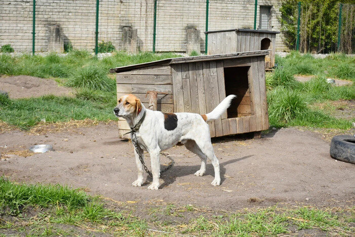 От будок в Центре намерены избавляться | Фото: Виктория Исаенко