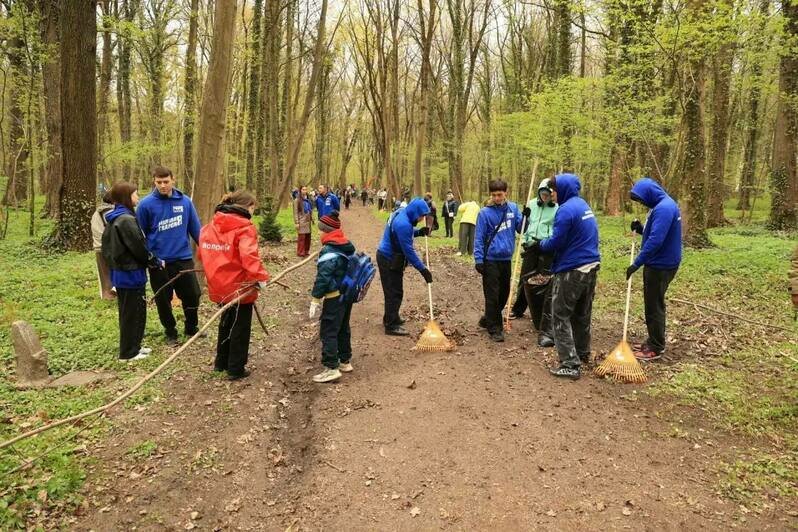 Калининград присоединился ко Всероссийскому субботнику: на городских территориях высадили новые пихты - Новости Калининграда | Фото: телеграм-канал Елены Дятловой
