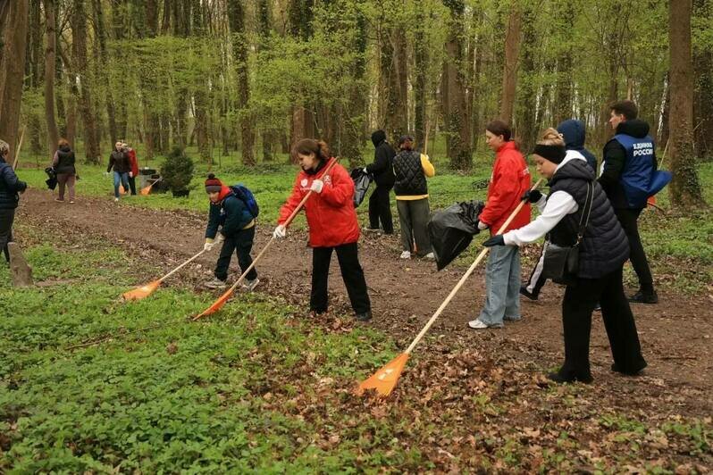 Калининград присоединился ко Всероссийскому субботнику: на городских территориях высадили новые пихты - Новости Калининграда | Фото: телеграм-канал Елены Дятловой