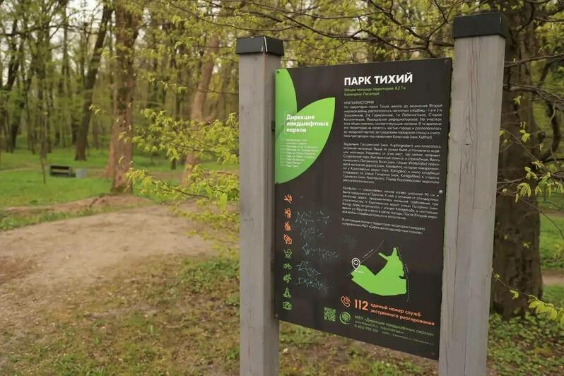 Калининград присоединился ко Всероссийскому субботнику: на городских территориях высадили новые пихты - Новости Калининграда | Фото: телеграм-канал Елены Дятловой