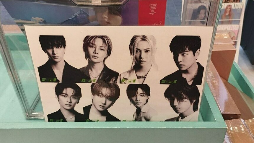 Всё дело в клешнях: учёные назвали род древних клопов в честь K‑pop группы Stray Kids - Новости Калининграда | Фото: «Клопс»