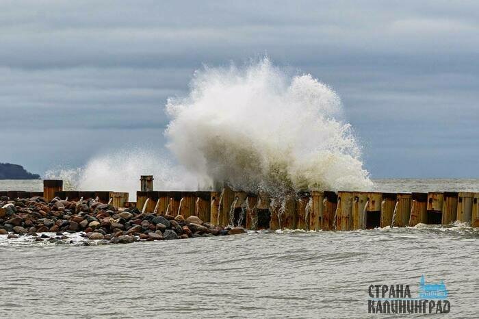 Калининград штормит | Фото: Александр Мелехов