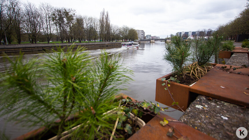 Синоптики рассказали о погоде в Калининградской области в понедельник, 27 апреля   - Новости Калининграда | Фото: Александр Подгорчук / Архив «Клопс»