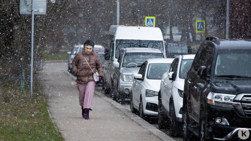 Холодно и мокрый снег: погода в Калининграде и области в воскресенье, 26 апреля   - Новости Калининграда | Фото: Александр Подгорчук / Архив «Клопс»