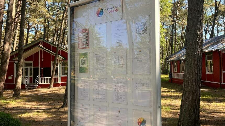 За первые 30 секунд калининградцы подали 1 600 заявок в детские лагеря — Дятлова - Новости Калининграда | Фото: архив «Клопс»