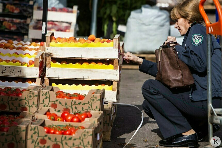 В Калининградскую область за неделю пытались ввезти более 55 тонн заражённой сельхозпродукции   - Новости Калининграда | Фото: Александр Подгорчук / Архив «Клопс»