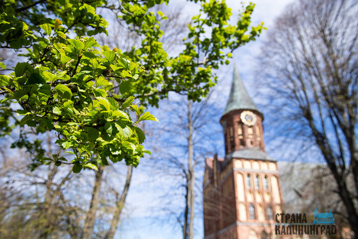 Яркие точки острова Канта — новая скульптура и Дом Советов