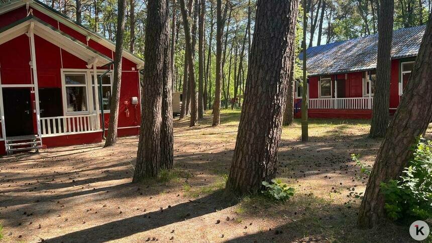 В лагерях Калининградской области в 2025 году отдохнули почти 48 тысяч детей, из других регионов приехали 288   - Новости Калининграда | Фото: архив «Клопс»