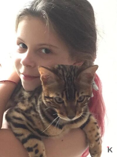 «Без Лео наш дом опустел»: в Калининграде породистого кота украли прямо под камерой видеонаблюдения (фото)   - Новости Калининграда | Фото: Наталья