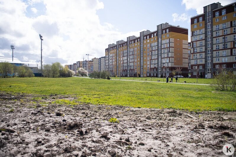 В Калининграде разгорелся спор из-за парковки у «Янтарного» - Новости Калининграда | Фото: Александр Подгорчук / «Клопс»