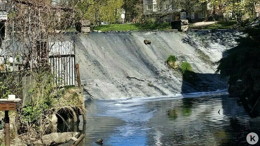 Причина вони установлена: в Гагаринский ручей попадают нелегальные стоки — минприроды - Новости Калининграда | Фото: читатель «Клопс»