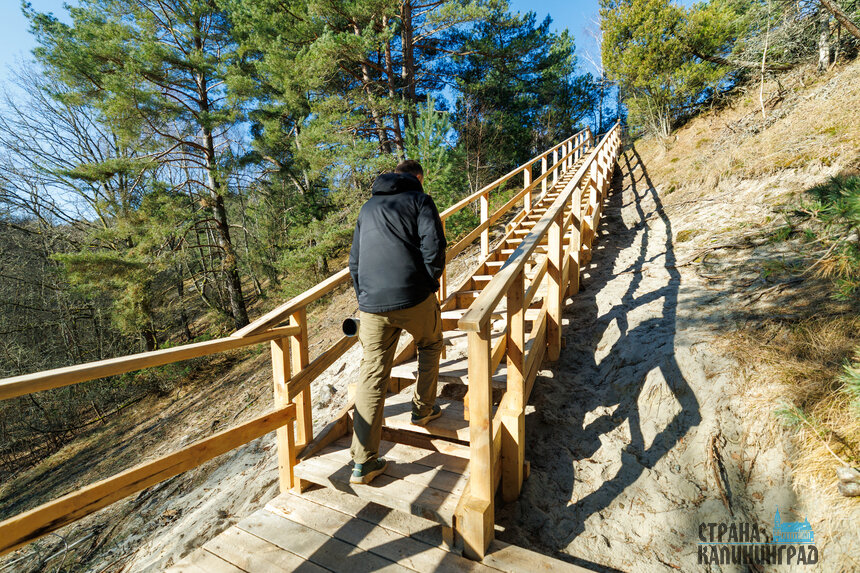 По лесам гулять на майских праздниках нельзя, а вот в нацпарки приехать можно | Фото: Александр Мелехов