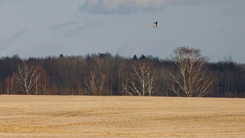 Всю ночь блуждала по полям: пропавшую в Багратионовском районе пожилую женщину, нашли и приютили жители соседнего посёлка - Новости Калининграда