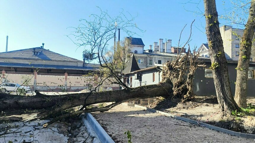 «Грубо делают дорогу, корни рубят понемногу»: музыкальный дайджест калининградских новостей за неделю (видео)  - Новости Калининграда | Фото: очевидец