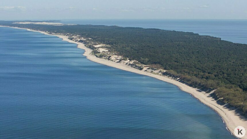 «Стена смерти» — это не метафора: орнитолог — о проекте высотной гостиницы на Куршской косе  - Новости Калининграда | Фото: Александр Подгорчук / Архив «Клопс»