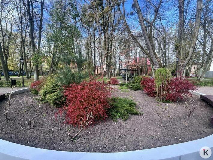 За «Кинолендом» открыли обновлённый спортивный парк (фото) - Новости Калининграда | Фото: «Клопс»