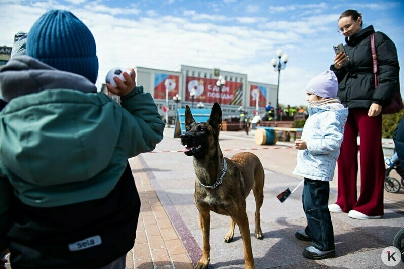 Служебные собаки и квест в дымокамере: на площади Победы в Калининграде отметили День пожарной охраны (фоторепортаж) - Новости Калининграда | Фото: Александр Подгорчук / «Клопс»