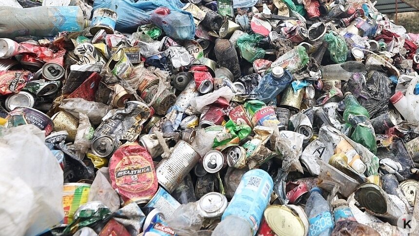 Бывший гендиректор Российского экологического оператора покинул Россию — СМИ  - Новости Калининграда | Фото: Александр Подгорчук / Архив «Клопс»