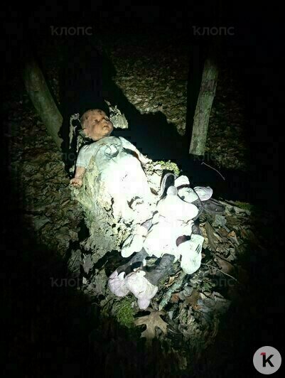 Куклы и шкуры животных на дереве в глухом лесу выглядят пугающе  | Фото: Екатерина Преснякова 