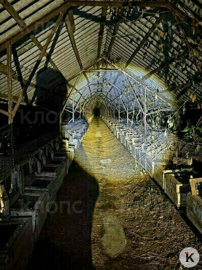 На заброшенной ферме можно снимать хорроры | Фото: Екатерина Преснякова 