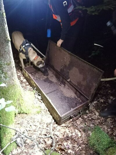 К деревьям прибиты кукольные головы: о лесных капищах и проказах лешего рассказали калининградцы - Новости Калининграда | Фото: Екатерина Преснякова