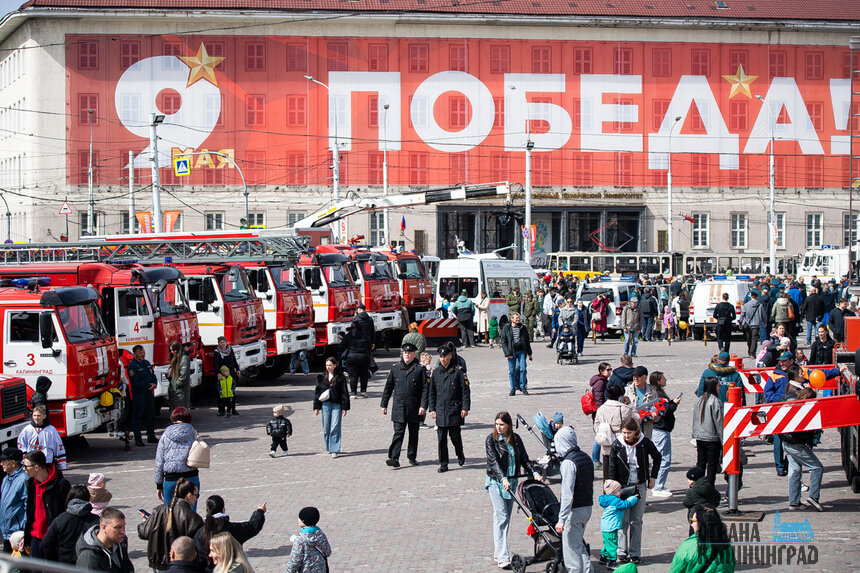 В программе - концерт, мастер-классы, квест в дымокамере и показательные выступления по работе служебных собак | Фото: Александр Подгорчук 