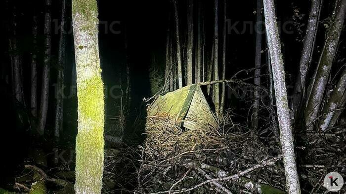 Не раз в густой чаще натыкались на палатки  | Фото: Екатерина Преснякова 