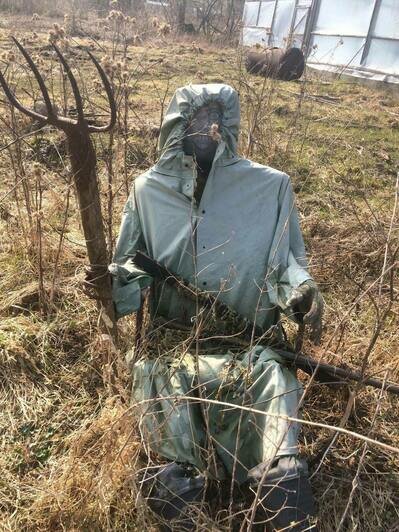 К деревьям прибиты кукольные головы: о лесных капищах и проказах лешего рассказали калининградцы - Новости Калининграда | Фото: Екатерина Преснякова