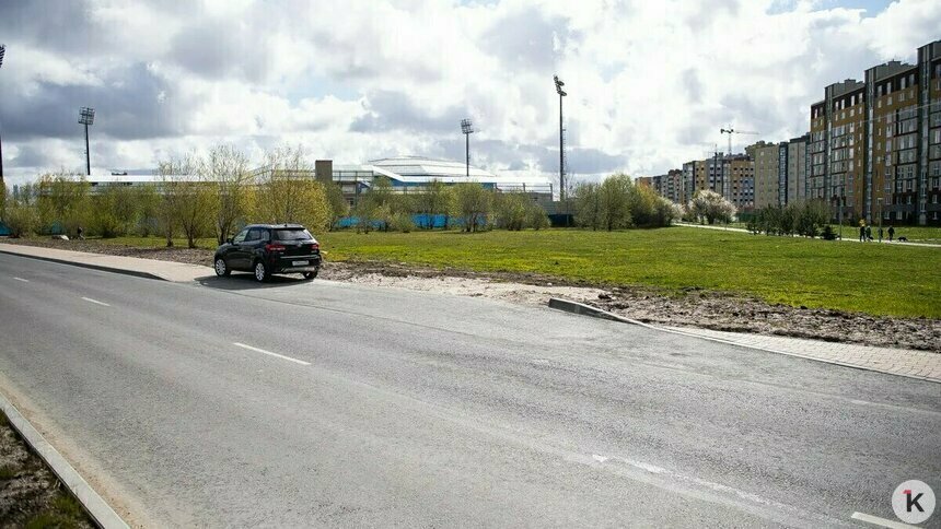 Вырубки не будет: в мэрии ответили жителям Сельмы, встревоженных появлением новой парковки - Новости Калининграда | Фото: Александр Подгорчук / Архив «Клопс»