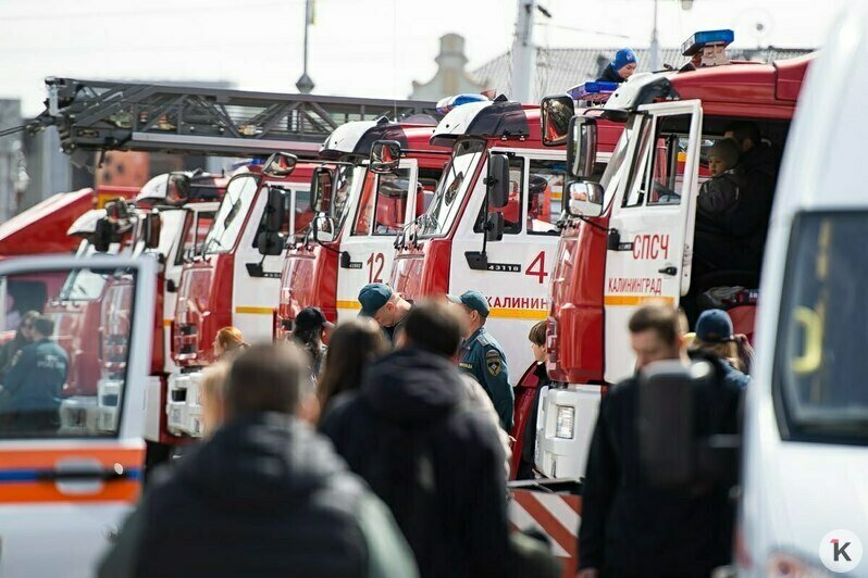 Служебные собаки и квест в дымокамере: на площади Победы в Калининграде отметили День пожарной охраны (фоторепортаж) - Новости Калининграда | Фото: Александр Подгорчук / «Клопс»