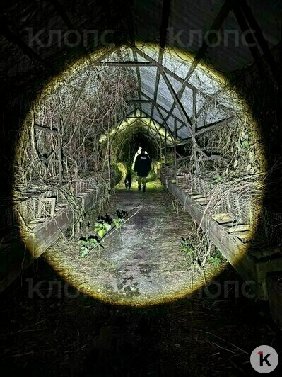 На заброшенной ферме можно снимать хорроры | Фото: Екатерина Преснякова 