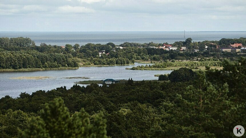 Проведение общественных слушаний по «Стене смерти» на Куршской косе в будни устроено сознательно — орнитолог   - Новости Калининграда | Фото: Александр Подгорчук / Архив «Клопс»