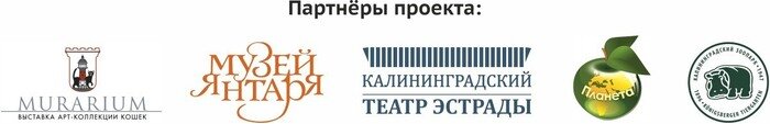 Любимые места, важные люди и герои края — покажи их в конкурсе «Я здесь живу»
