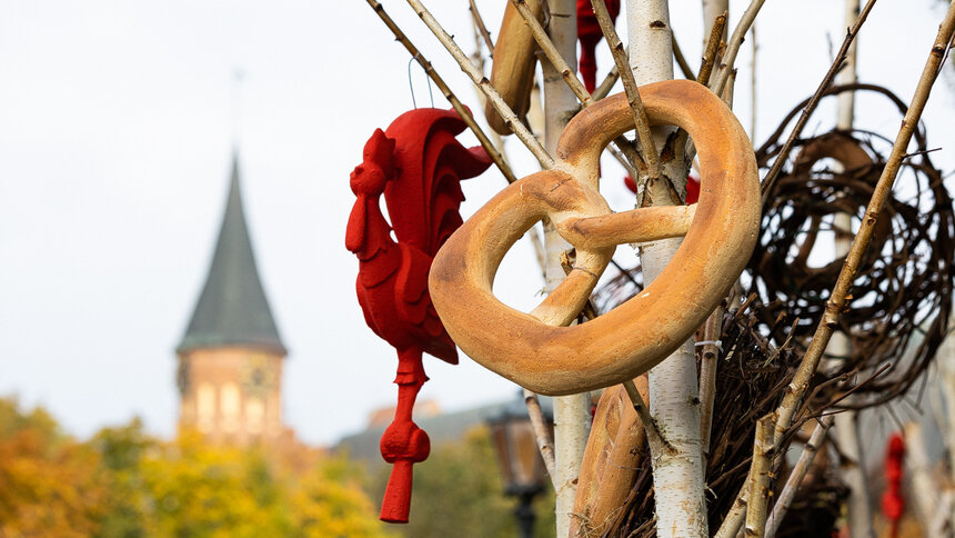 Маркеты, выставки и открытие мотосезона: события в Калининграде для тех, кто не хочет потратить слишком много денег - Новости Калининграда | Фото: архив «Клопс»