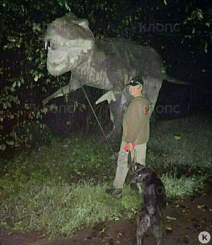 «Экспонат» из «Парка юрского периода» обнаружили во время поисков в лесу под Калининградом | Фото: Екатерина Преснякова 