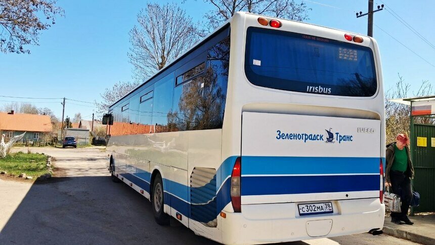 Перевозчик начал проверку после скандала в автобусе Калининград — Зеленоградск, откуда высадили детей с собакой - Новости Калининграда | Фото Михаила Лаврукайтиса