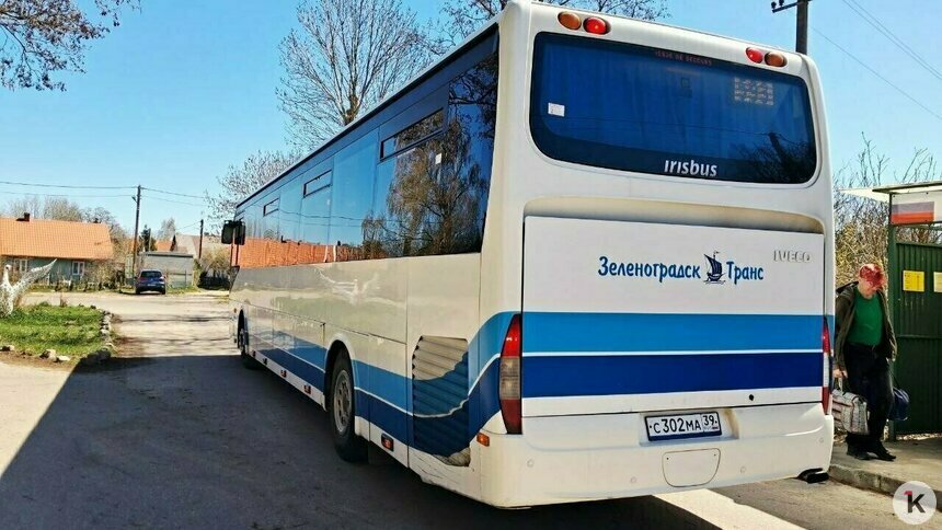 Кондуктора автобуса Калининград — Зеленоградск уволили после скандала с высаженными из-за собаки детьми - Новости Калининграда | Фото: архив «Клопс»