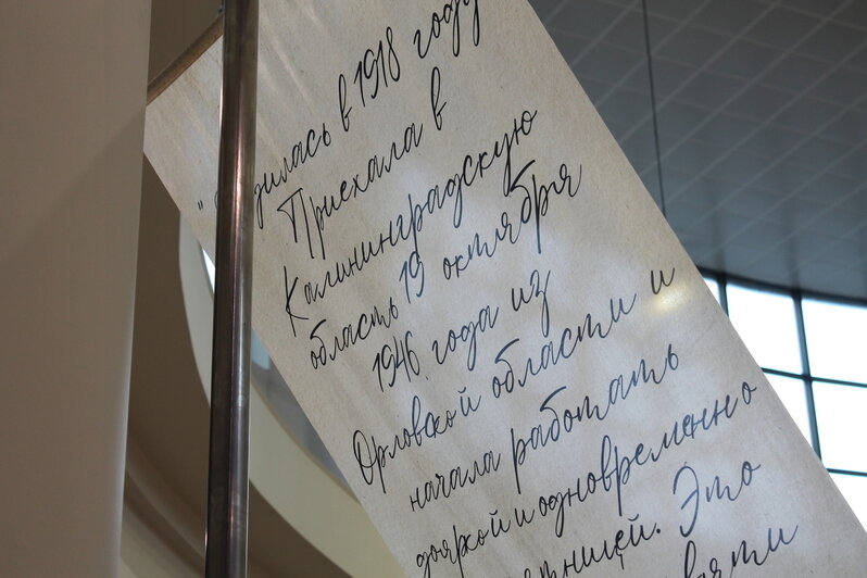 В Калининграде письма переселенцев стали основой инсталляции в торговом центре (фото) - Новости Калининграда | Фото: Алёна Михайлова