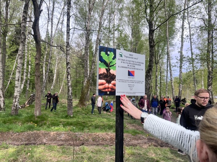 250 саженцев дуба и ели появились в Чкаловском лесу | Фото: «Клопс»