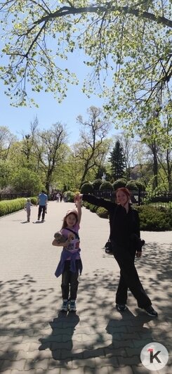 «Он весь шитый-перешитый»: туристы из Красноярска ищут плюшевого кота, потерянного в электричке до Зеленоградска (фото)   - Новости Калининграда | Фото: Алёна Медведева