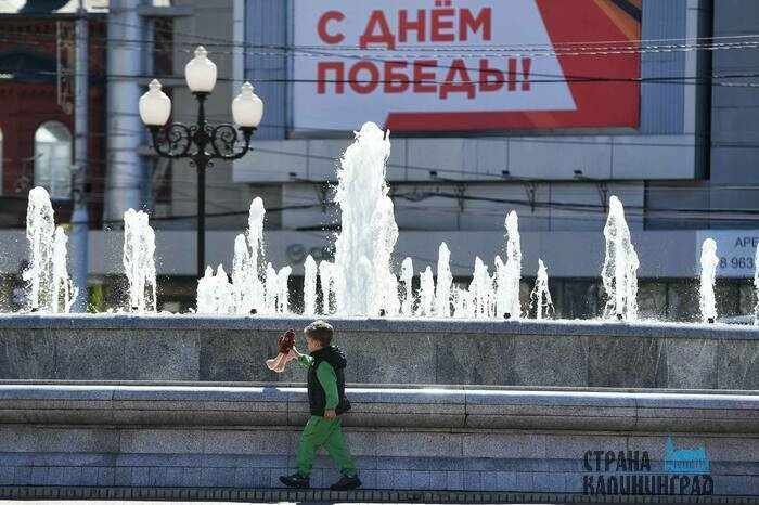 Фонтаны снова в деле: как ожил центр Калининграда - в ярких кадрах