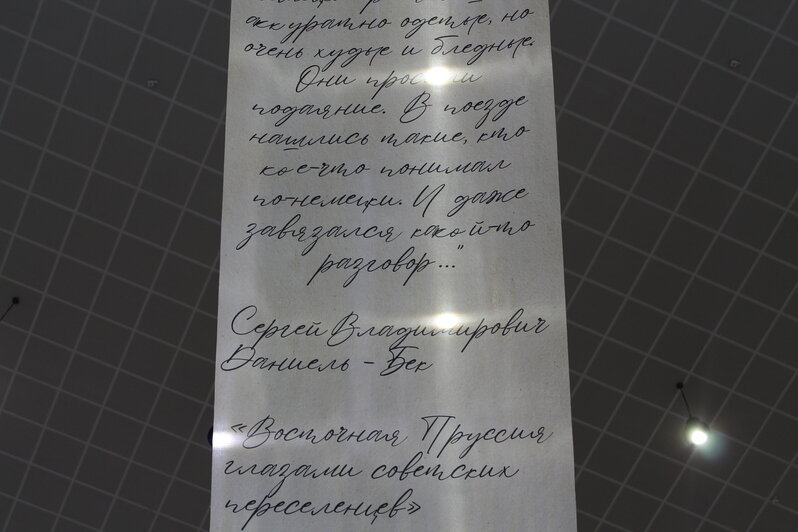 В Калининграде письма переселенцев стали основой инсталляции в торговом центре (фото) - Новости Калининграда | Фото: Алёна Михайлова