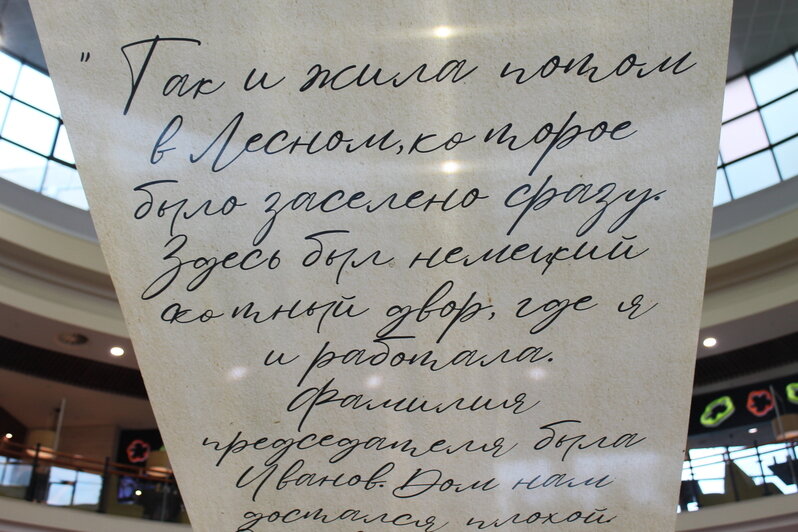 В Калининграде письма переселенцев стали основой инсталляции в торговом центре (фото) - Новости Калининграда | Фото: Алёна Михайлова