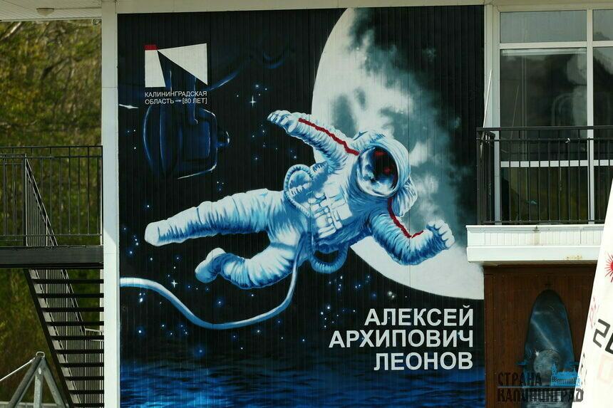 Высота мурала - 8 метров | Фото: Александр Мелехов