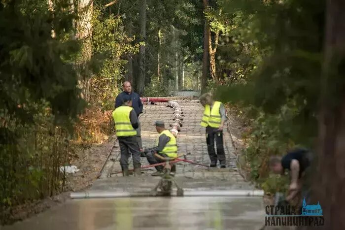 По началу работы на Куршской косе шли активно, потом все затихло | Фото: архив "СК"