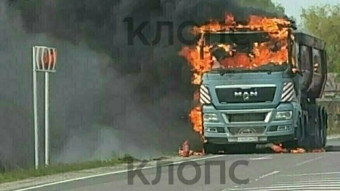 Праздничный парад, звёздные болельщики «Балтики» и лось, просто лось: 7 событий минувших выходных   - Новости Калининграда | Фото: очевидцы