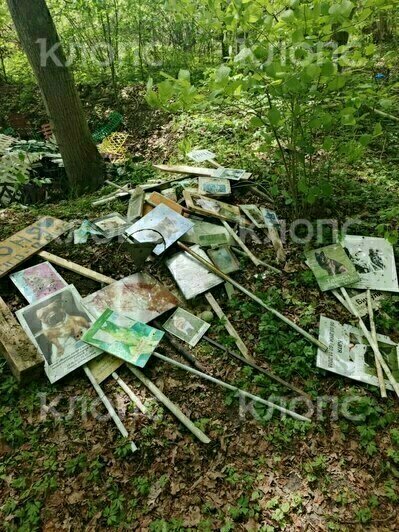 В Цветково неизвестные разнесли стихийное кладбище домашних животных (фото) - Новости Калининграда | Фото: очевидцы