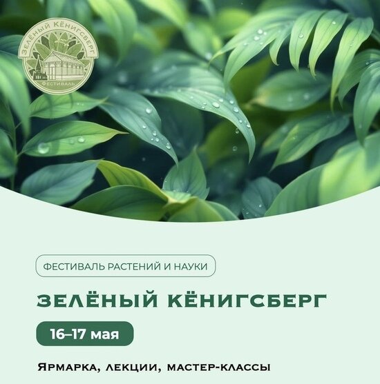 Фестиваль на Понарте посвящен растениям и экологии | Фото: группа квартала "Понарт" в "ВКонтакте"